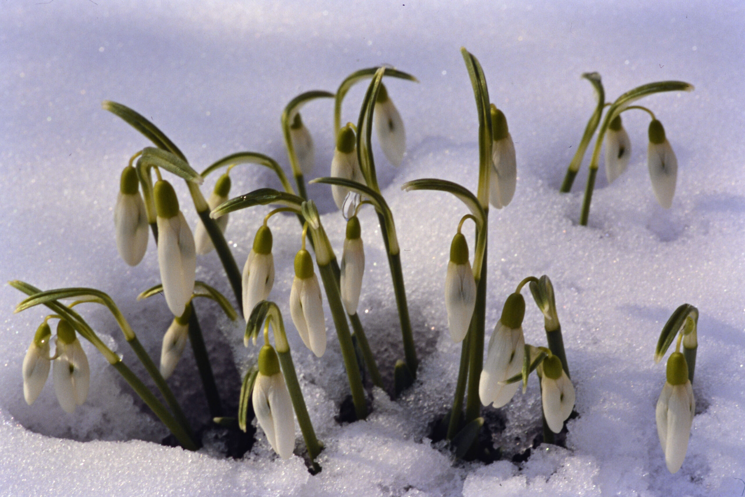 Februar